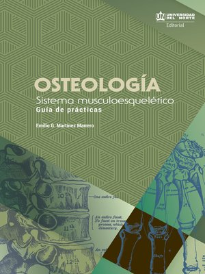 cover image of Osteología. Sistema musculoesquelético
